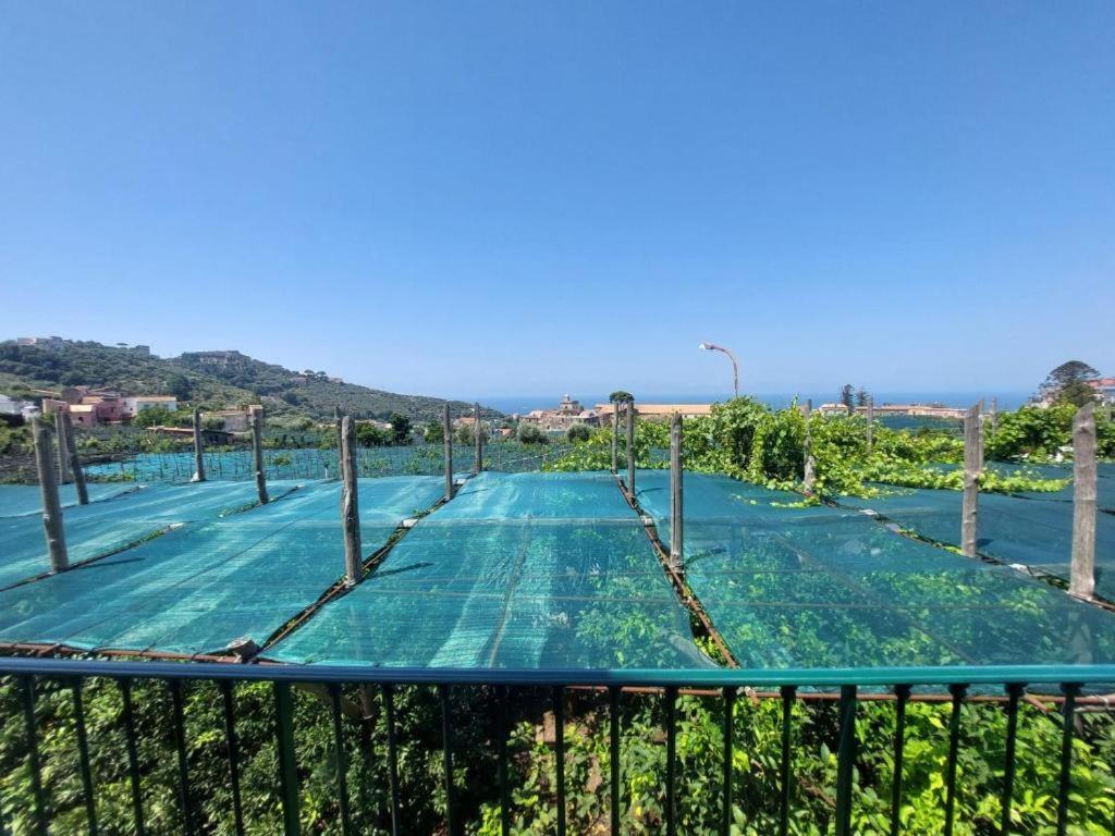 Il Pozzillo Maison Massa Lubrense Zewnętrze zdjęcie